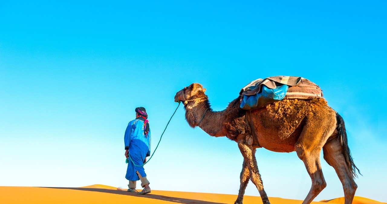 Wakacje w Tunezji? Wycieczka na pustynię to punkt obowiązkowy