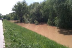 Wał na Tarchominie (Warszawa)