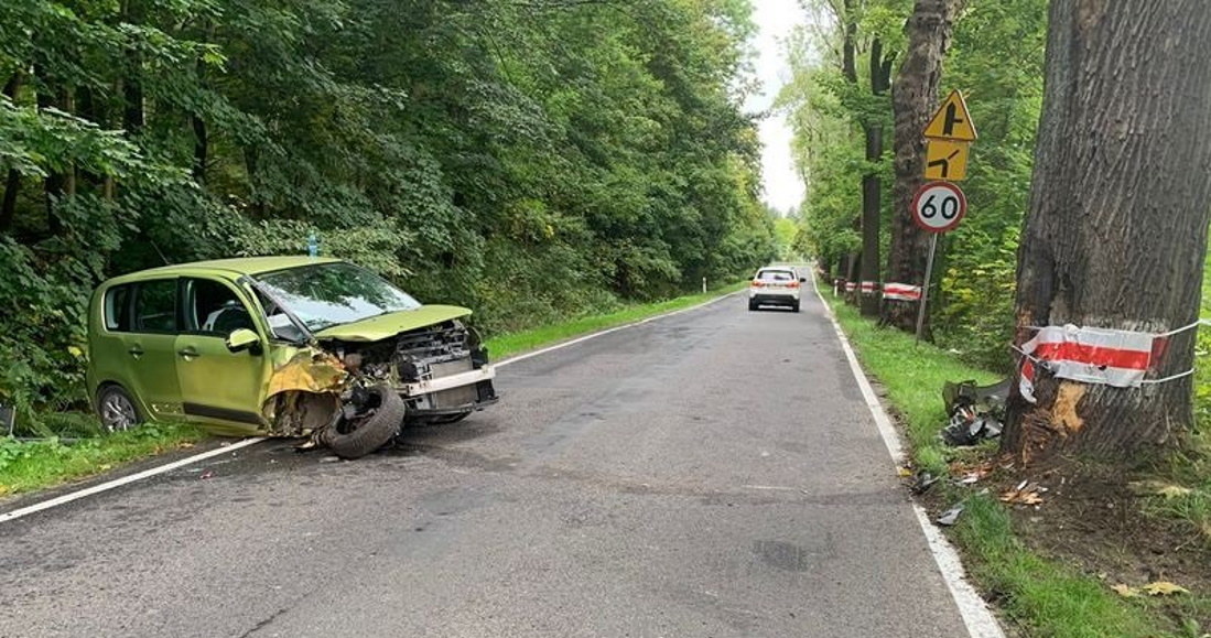 Walcząc z pszczołą kierowca Citroena stracił panowanie nad autem i uderzył w drzewo /Policja