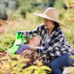 Walczysz ze zgnilizną korzeni? Podlej tym rośliny, a problem zniknie