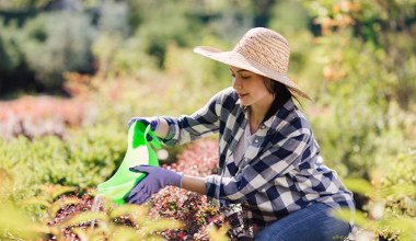 Walczysz ze zgnilizną korzeni? Podlej tym rośliny, a problem zniknie