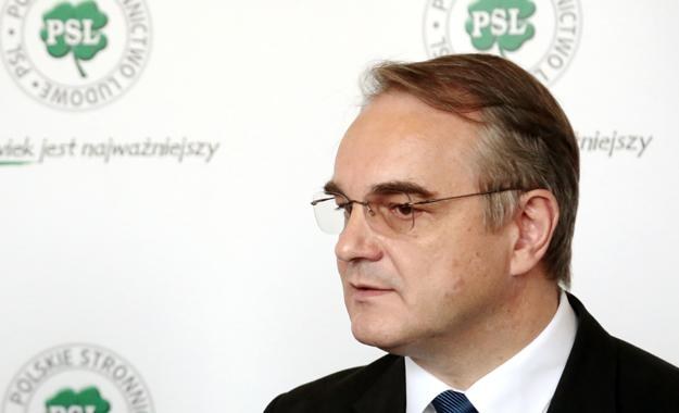 Waldemar Pawlak, minister gospodarki /PAP