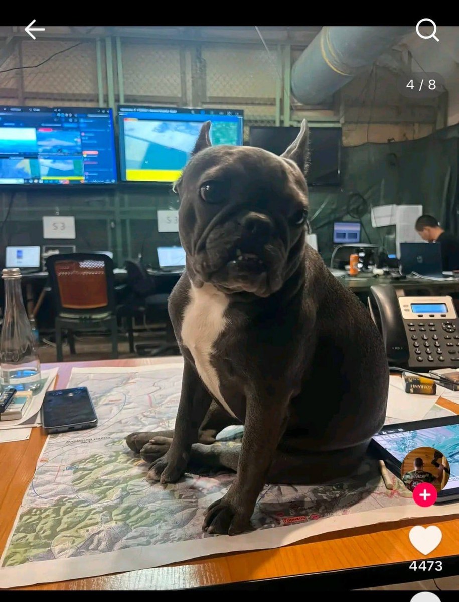 Wałentyn Mańko wywołał skandal, publikując na TikToku wrażliwe materiały wojskowe /@SymorozOfficial (X) /