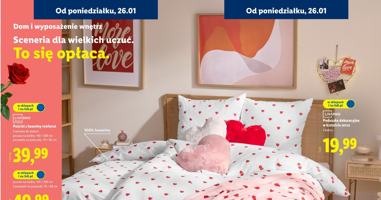 Walentynkowa pościel z serduszkami z oferty Lidl: romantyczny komplet z bawełny renforcé oraz dekoracyjne poduszki w promocyjnych cenach od poniedziałku /Lidl /INTERIA.PL
