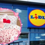 Walentynkowy hit z Lidla: pościel w serduszka i więcej nowości od poniedziałku