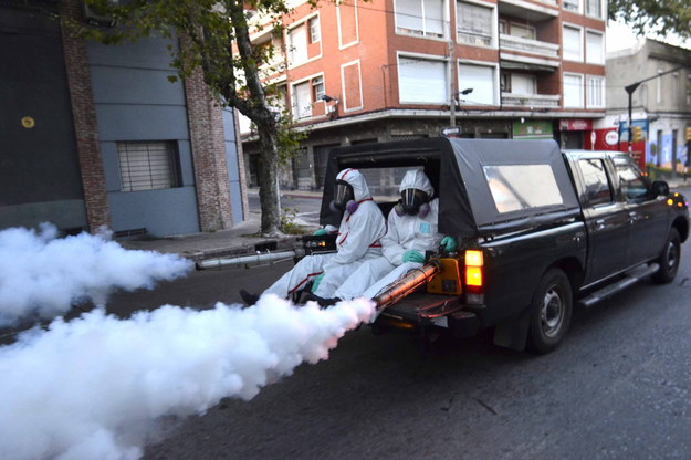 Walka z komarami, które podejrzewa się o przenoszenie wirusa /Artigas Pessio Vignolo / HANDOU /PAP/EPA