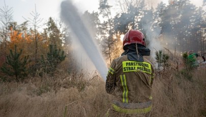 Walka z ogniem. Duży pożar traw na Mazowszu