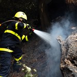 Walka z ogniem trwa. Nowe informacje ws. pożaru w Czeskiej Szwajcarii