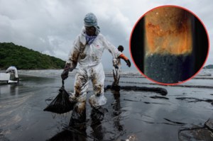 Walka z plamami ropy i globalnym ociepleniem dzięki bakteriom cieńszym od ludzkiego włosa