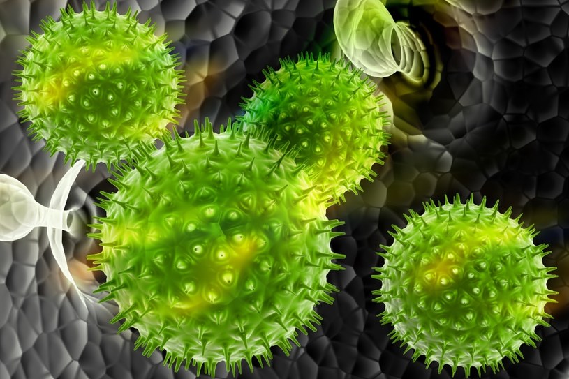 Walka z wirusem może rozpocząć się już w miejscu, w którym wnika on do naszego organizmu /123RF/PICSEL