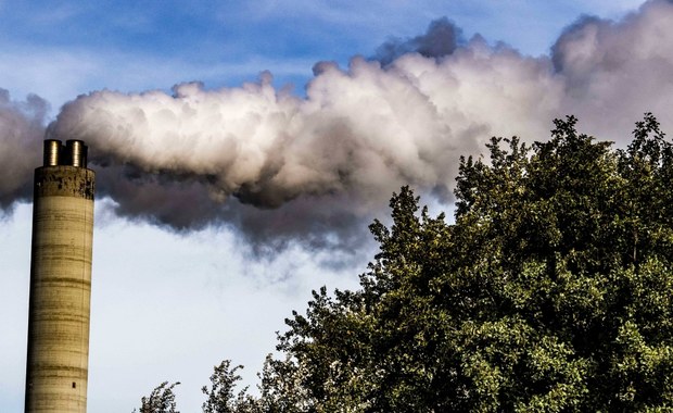 Walka ze zmianami klimatu. Noblista przedstawił swój pomysł