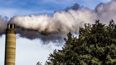 Walka ze zmianami klimatu. Noblista przedstawił swój pomysł