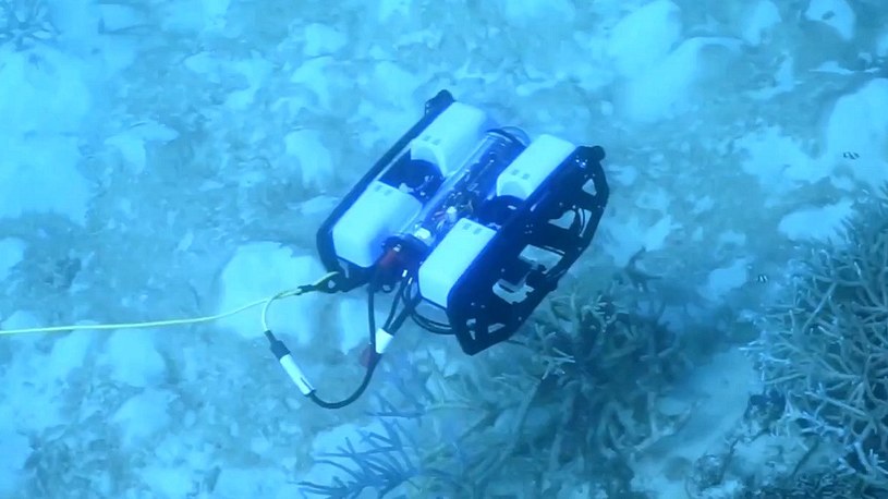 Walkę o ratowanie Wielkiej Rafy Koralowej rozpoczęły pływające roboty /Geekweek
