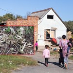 Walki psów i wysypisko śmieci w romskiej osadzie? Postawiono 30 zarzutów