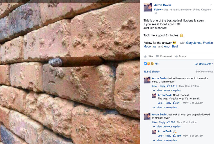 "Wall brick optical illusion" podbija internet /Arron Bevin /materiały prasowe
