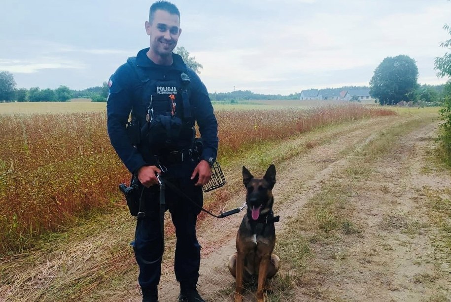 Walter - owczarek belgijski, który służy w stargardzkiej policji od 2 lat /KPP Stargard /Materiały prasowe