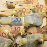 Waluta euro ma 10 lat