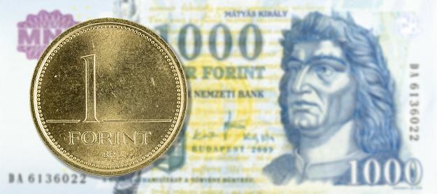 Waluty: Duża zmienność kursu węgierskiego forinta /&copy;123RF/PICSEL