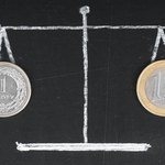 Waluty: Dziś kluczowe rozwiązanie dla złotego