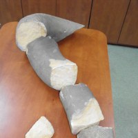 Wandale zniszczyli ogon wrocławskiego lwa 