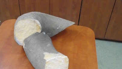 Wandale zniszczyli ogon wrocławskiego lwa 