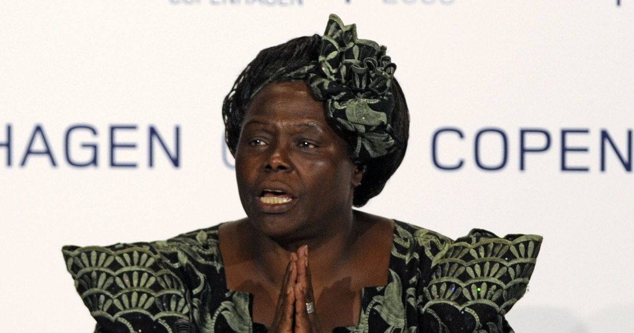 Wangari Maathai /AFP