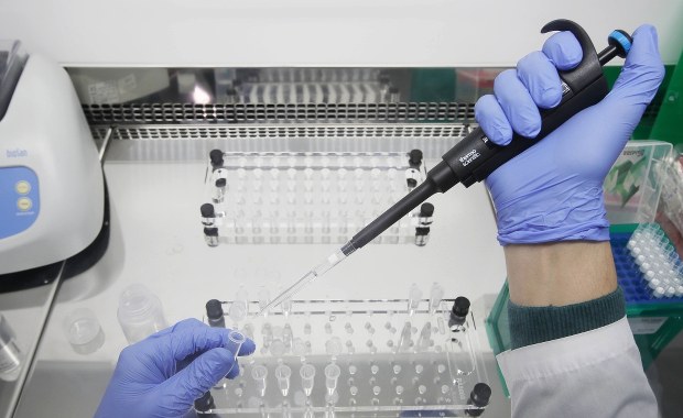 Warianty koronawirusa pod lupą śląskich naukowców. Przebadają 1,5 tysiąca próbek