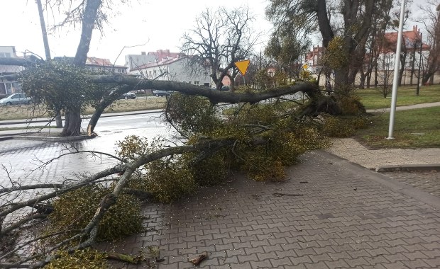 Warmia i Mazury: ​Burza, silny wiatr i ponad 200 interwencji strażaków 