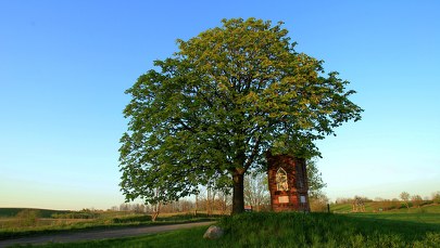 Warmińskie kapliczki odzyskują blask