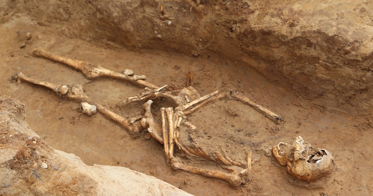 Warmińskie Pompeje wciąż zaskakują. Archeolodzy znaleźli szkielet z 1354 roku