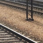 Warmińsko-Mazurskie: 16-latka zginęła potrącona przez pociąg