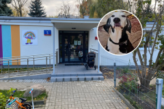 Warszawa: Finał afery wokół psa Czarka z przedszkola na Woli 