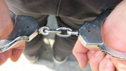 Warszawa: Policja zatrzymała trzech Niemców. Odpowiedzą za znieważenie polskiej flagi