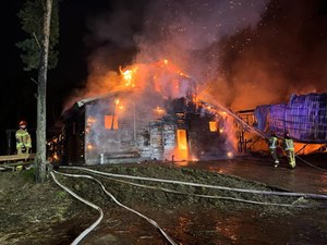 Warszawa: Pożar w stadninie koni. Spłonęło osiem zwierząt