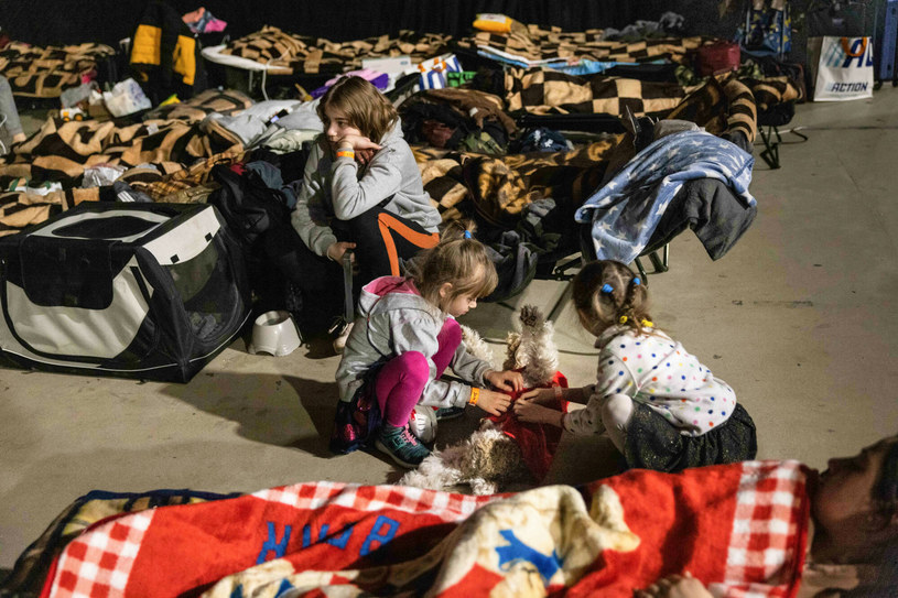 Warszawa. Punkt recepcyjny dla uchodźców  z Ukrainy na Torwarze /Jacek Dominski/REPORTER /East News