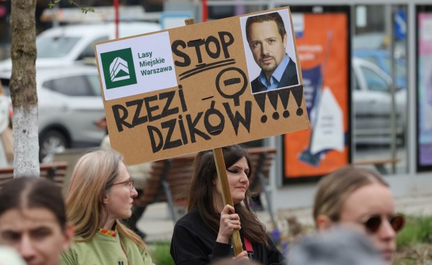 "Warszawa to nie rzeźnia". Protest przeciwników odstrzału dzików