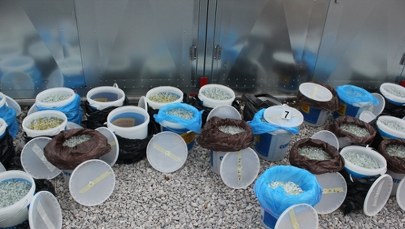 Warszawa: Wiadra pełne ampułek ze sterydami 