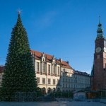 Warszawa zostawiła Wrocław daleko w tyle. Bajońskie sumy za choinki