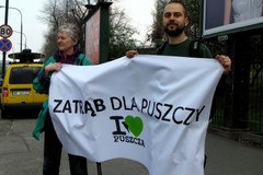 Warszawiacy „trąbią” poparcie dla akcji w obronie Puszczy Białowieskiej 