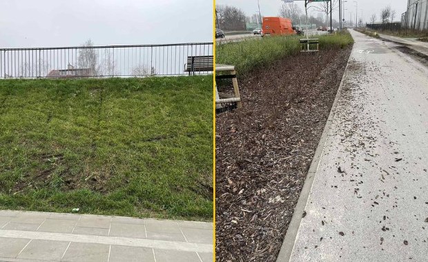 Warszawski park zdewastowany przez wandali 