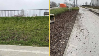 Warszawski park zdewastowany przez wandali 