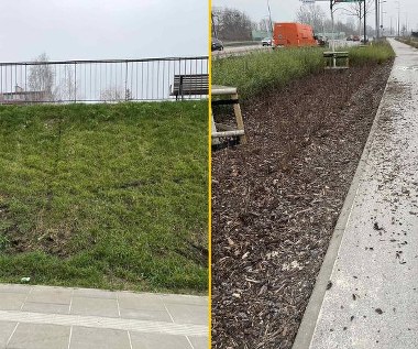 Warszawski park zdewastowany przez wandali 