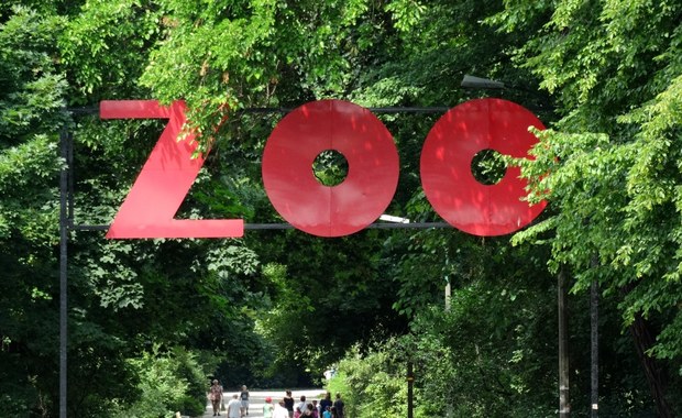 Warszawskie zoo: Nowe zasady wstępu dla uchodźców z Ukrainy