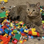 Warto inwestować w LEGO? "Niektóre zestawy fenomenalnie zyskały na wartości"
