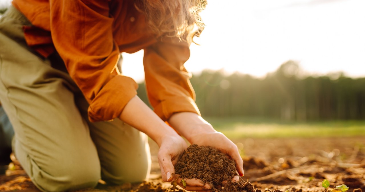 Warto wykorzystać naturalny nawóz, by wspomóc rośliny przed nadejściem zimy. Resztki kuchenne to skarbnica składników mineralnych. /Pixel