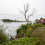 Warunki tlenowe w Odrze się poprawiły. "Pomagamy rzece"