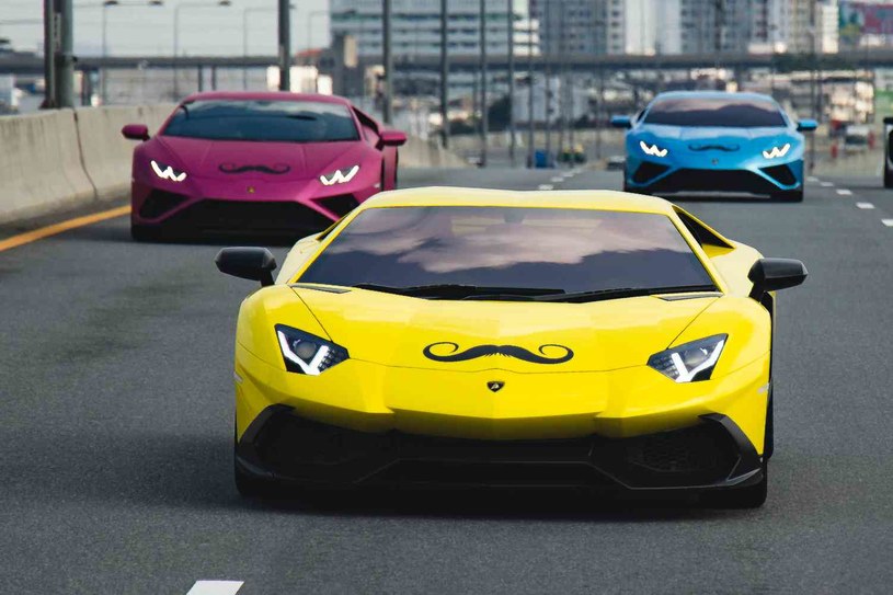 Wąsate Lamborghini to element akcji Movember /materiały prasowe