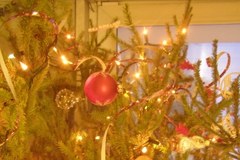 Wasze bożonarodzeniowe drzewka – zobacz zdjęcia 