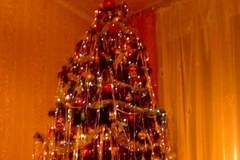 Wasze bożonarodzeniowe drzewka – zobacz zdjęcia 