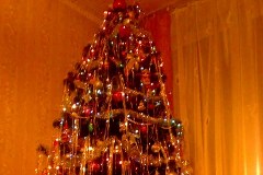 Wasze bożonarodzeniowe drzewka – zobacz zdjęcia 